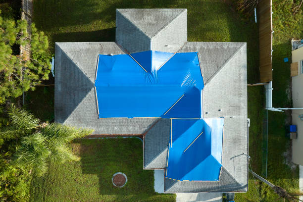 Best Gutter Installation and Repair  in Radcliff, KY